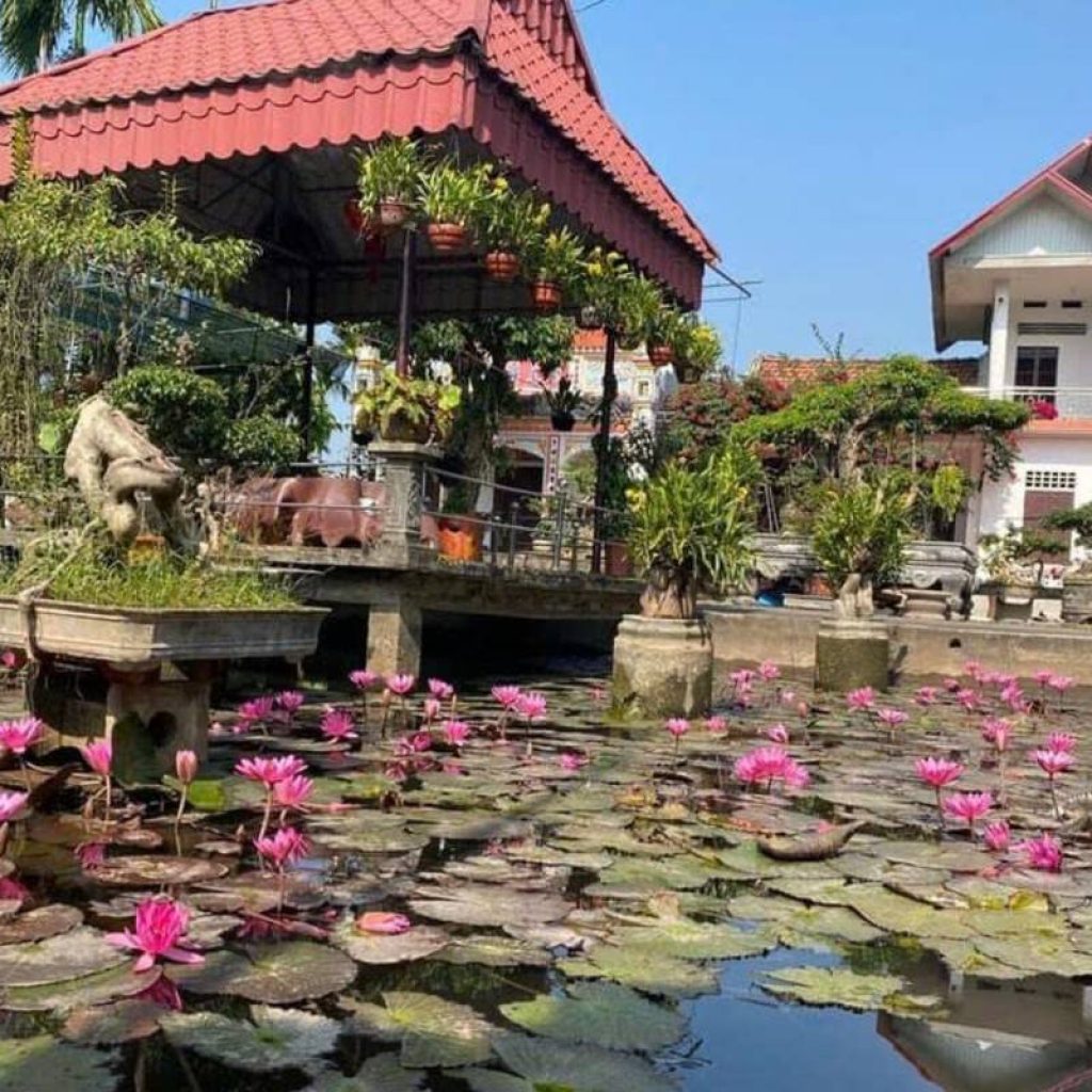 Hai Van Homestay