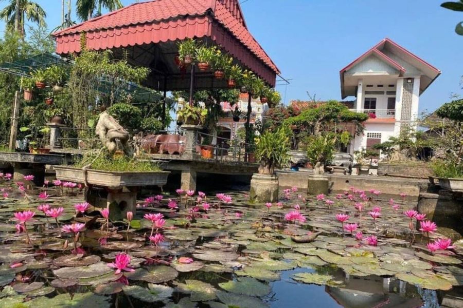 Hai Van Homestay