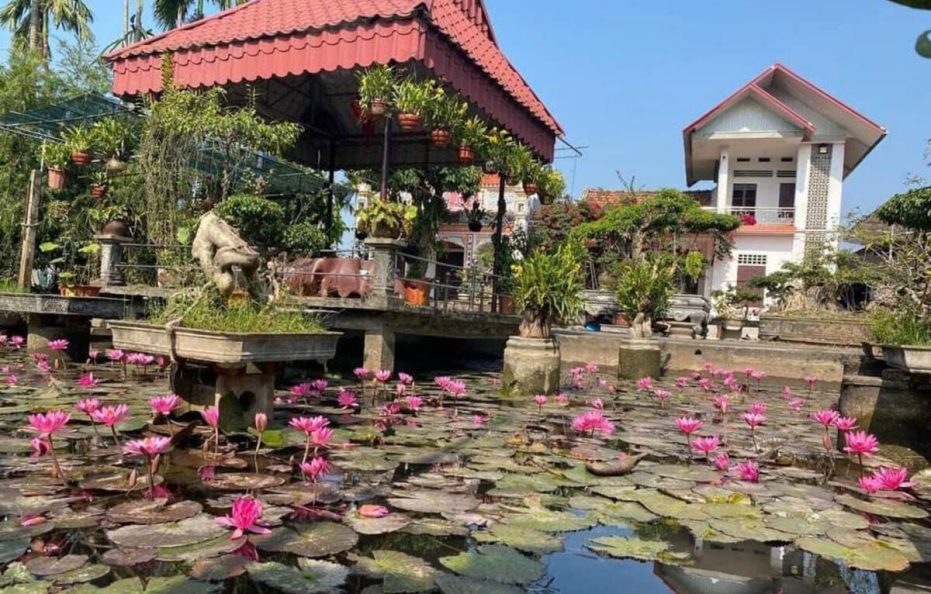 Hai Van Homestay