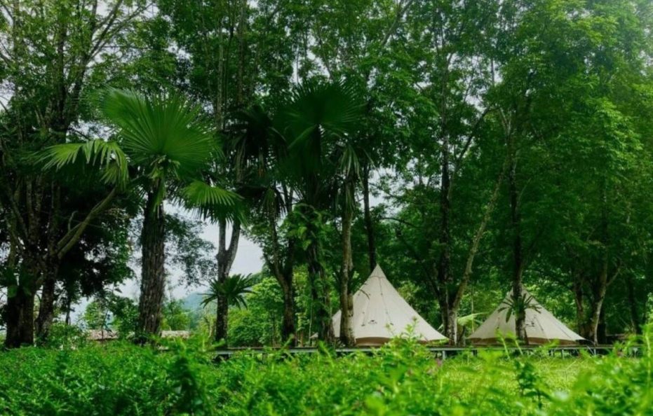 Ban Ba Jungle Lodge – Glamping Tent
