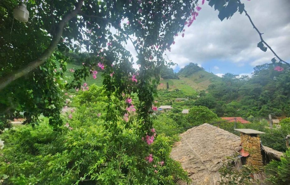 Hua Tat Homestay