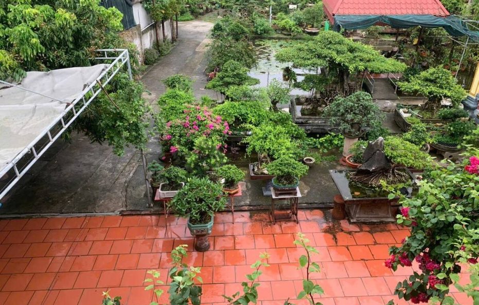 Hai Van Homestay