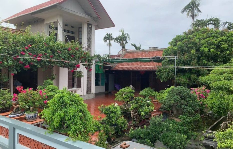 Hai Van Homestay