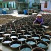 A Fish-sauce Making Family