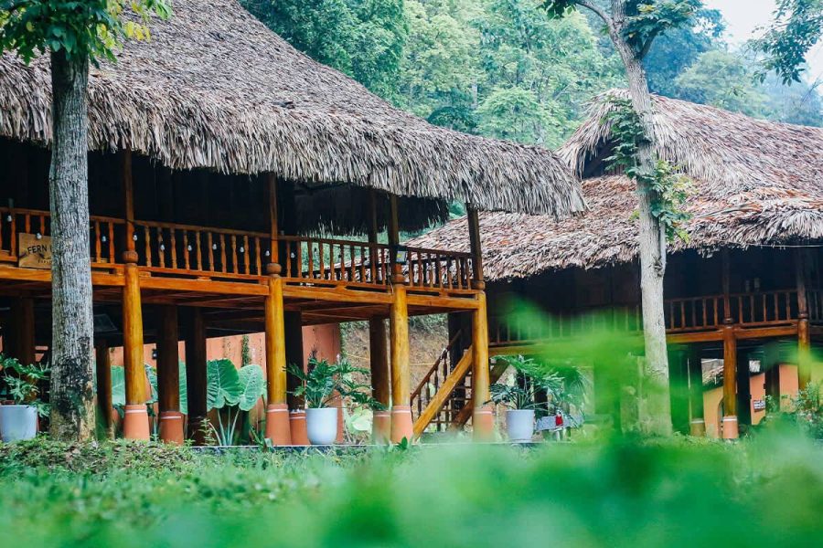 Ban Ba Jungle Lodge