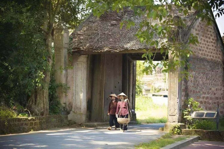 Historical Journey to Duong Lam Ancient Town - 1 Day