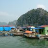 Floating Village in Halong Bay