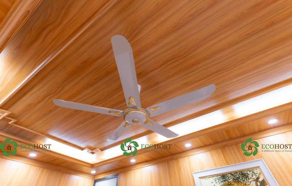 Truc Thang Ecohost – Pine Tree Room