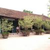 Local House for Lunch