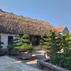 Mr. Thien House