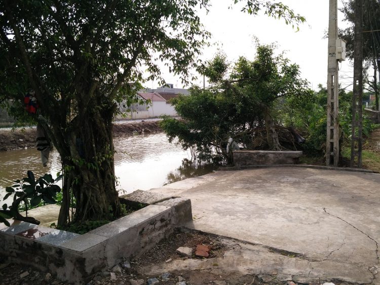 Mr. Van Surrounding Area