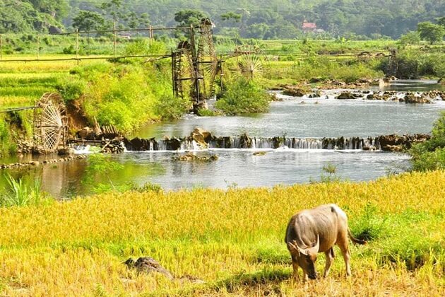 Pu Luong Nature Reserve