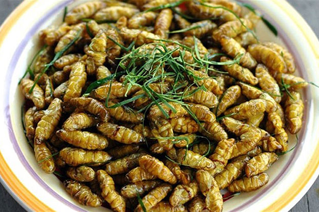 Silkworm phu tho specialty