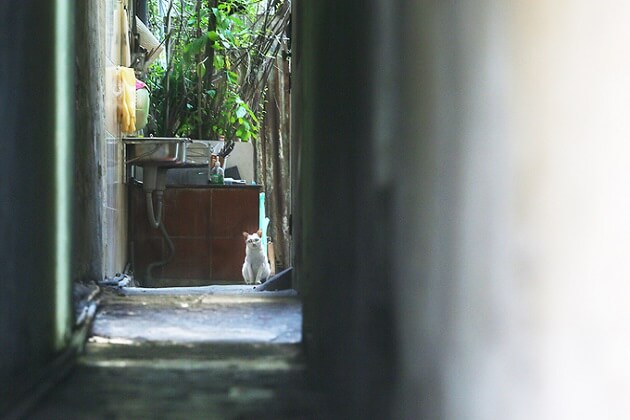 Small Alley at Hang Non street