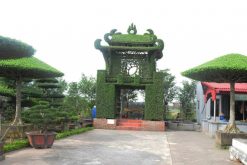 Temple of Literature made by tree