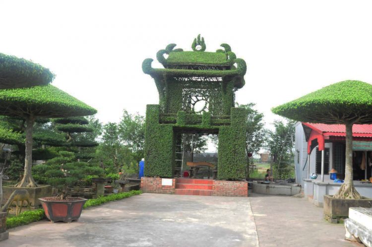 Temple of Literature made by tree