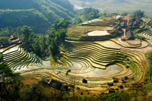 The Best Things to Do and See in Sapa vietnam ecohost