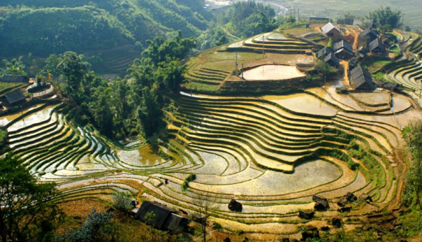 The Best Things to Do and See in Sapa vietnam ecohost