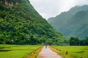 Top 7 Must-See Destinations in Northern Vietnam