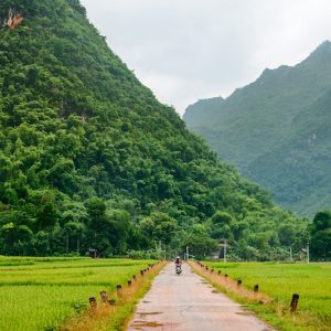 Top 7 Must-See Destinations in Northern Vietnam