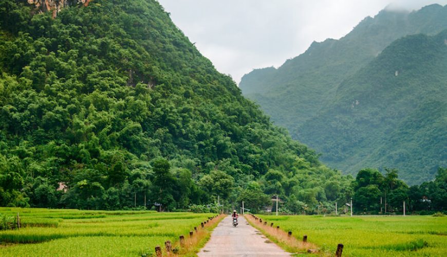 Top 7 Must-See Destinations in Northern Vietnam