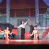 Traditional Music Show