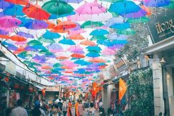 Journey to the West of Hanoi - 1 Day