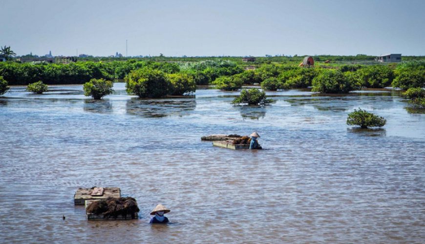 Xuan Thuy national park nam dinh ecohost asia