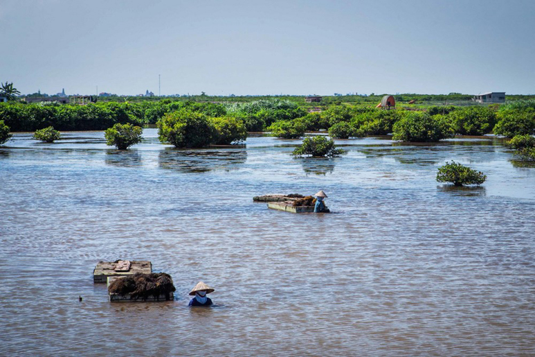 Xuan Thuy national park nam dinh ecohost asia