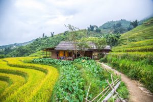 best time to visit Sapa ecohost asia