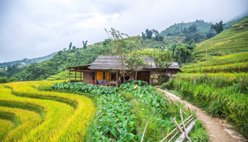 best time to visit Sapa ecohost asia