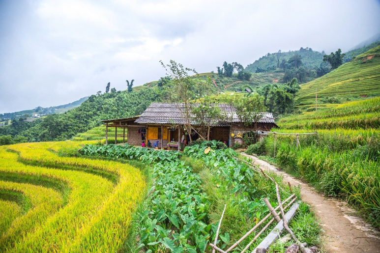 best time to visit Sapa ecohost asia