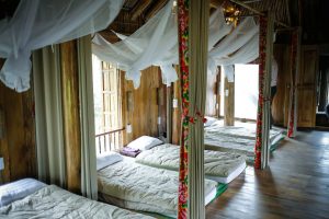 homestay in vietnam ecohost