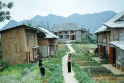 pu bin farmstay tour 9