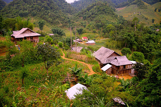 pu bin mai chau hoa binh