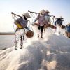 salt field vietnam ecotourism
