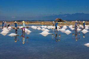 salt village in Nam dinh ecohost asia