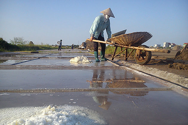 salt village nam dinh ecohost packages