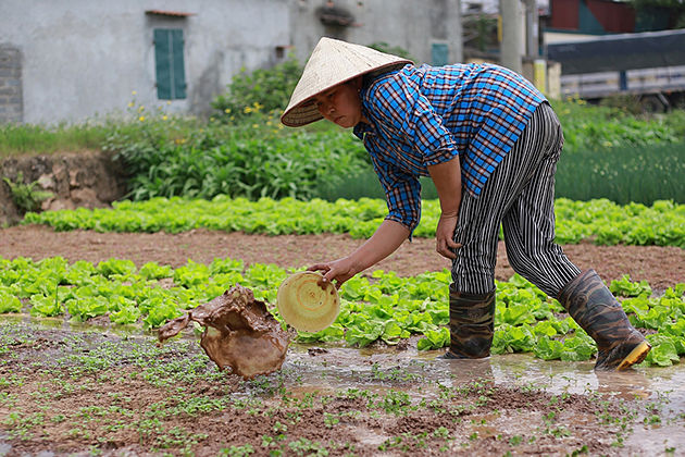 song phuong village hanoi ecohost packages