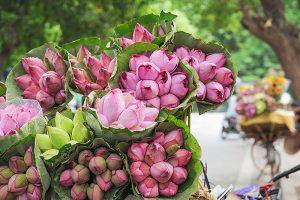 travel tips for hanoi eco tour vietnam eco tour package
