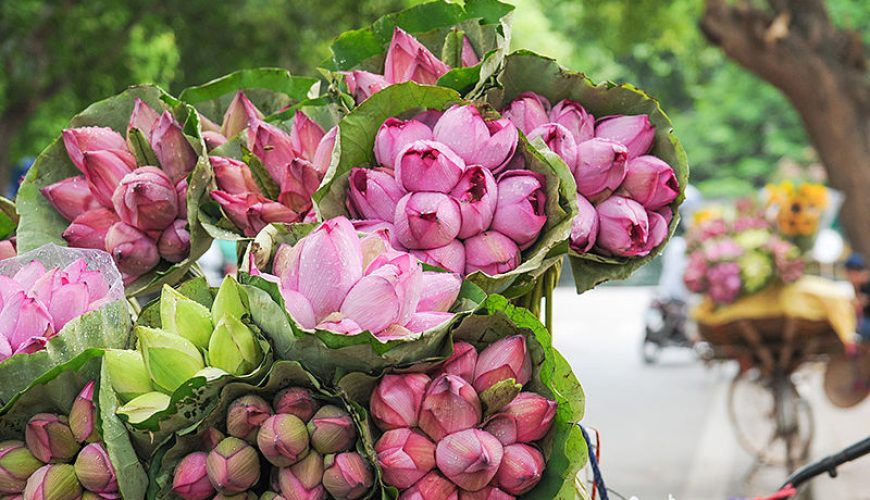travel tips for hanoi eco tour vietnam eco tour package