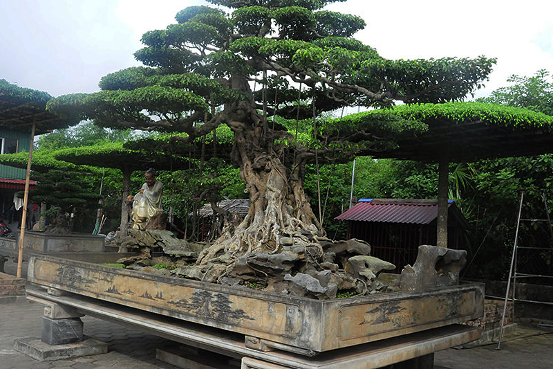 vi khe bonsai village ecohost asia