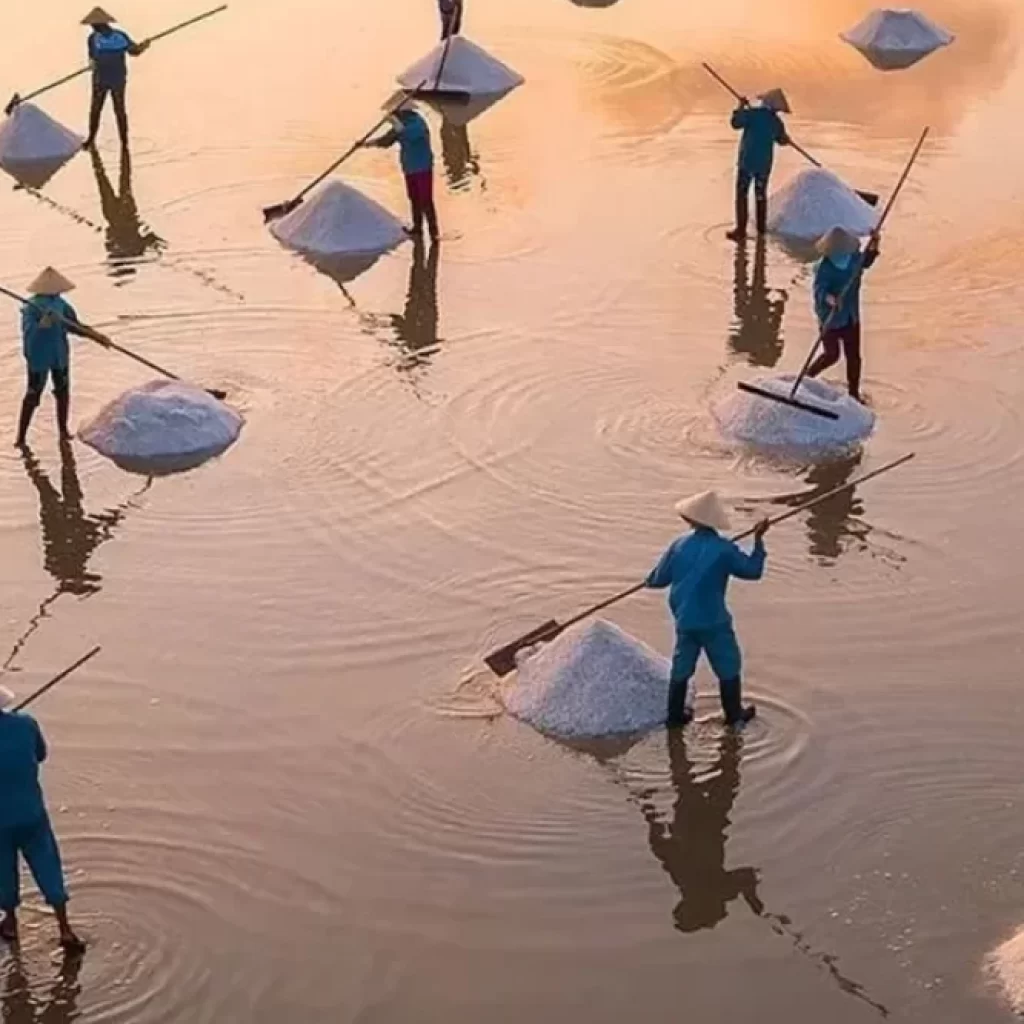 Hai Ly Salt Fields
