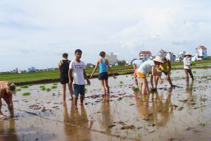 vietnam ecotourism in nam dinh