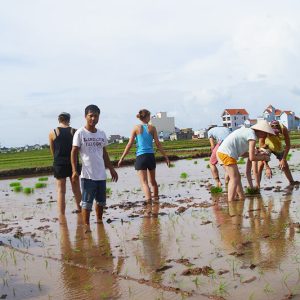 vietnam ecotourism in nam dinh