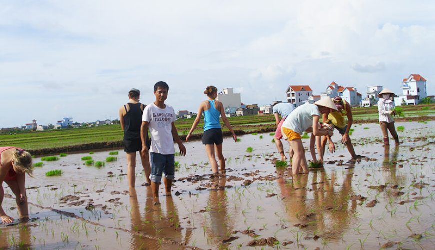 vietnam ecotourism in nam dinh
