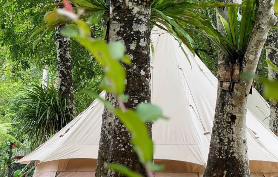 Bản Ba Jungle Lodge – Lều Glamping