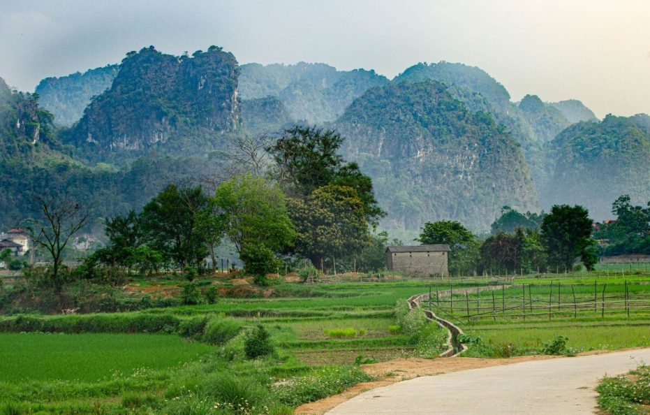 Hữu Liên Homestay