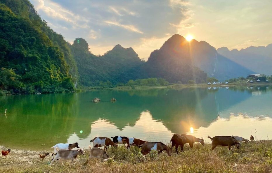 Hữu Liên Homestay