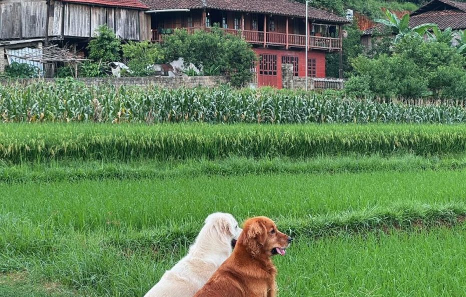 Hữu Liên Homestay